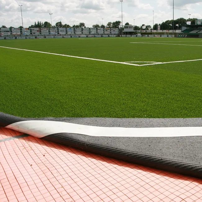 sb_2_2020_artificial_turf_carpet_at_Genemuiden_SEKISUI_ALVEO_650.jpg